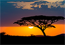 Global Exchange Volunteer Programme 
